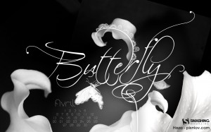 april-09-butterfly-haza-calendar-1280x800