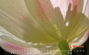 april-09-spring_is_in_the_air-calendar-1280x800