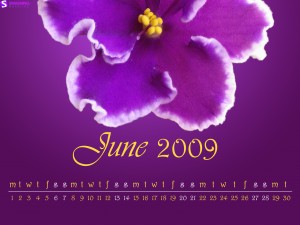 june-09-african-violet-calendar-1280x960