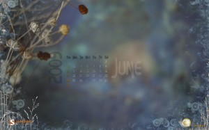 june-09-dryweed-calendar-1280x800