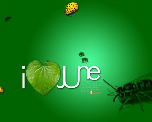 june-09-i-love-june-calendar-1280x1024