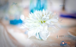june-09-june-weddings-calendar-1280x800