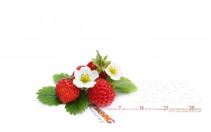 june-09-strawberry-calendar-1280x800