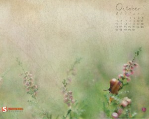 october-09-moorland-calendar-1280x1024