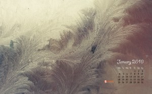 january-10-ice-flowers-calendar-1280x800