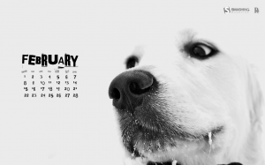 february-10-vanessa-calendar-1280x800