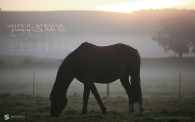 april-10-sunrise-grazing-calendar-1280x800
