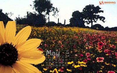 may-10-flower-field-calendar-1280x800